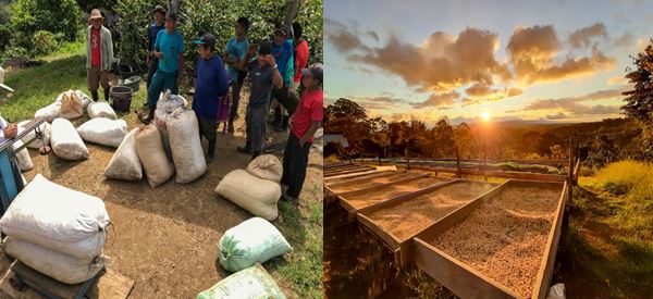 La Jabita Coffee Farmer