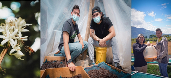 Chevas Coffee Estate